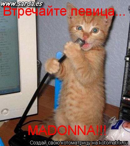Втречайте певица... MADONNA!!!... Котоматрица: Втречайте певица... MADONNA!!!