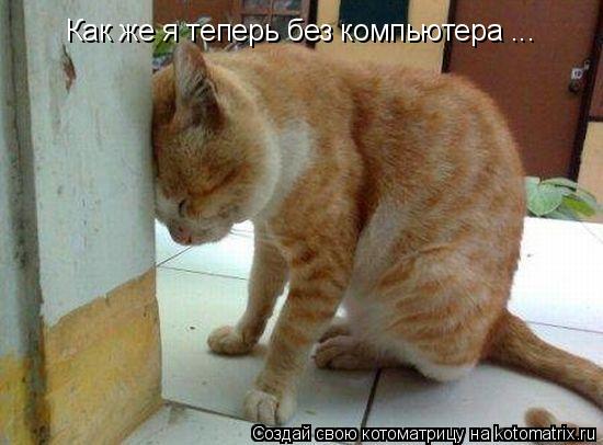 Как же я теперь без компьютера ...... Котоматрица: Как же я теперь без компьютера ...