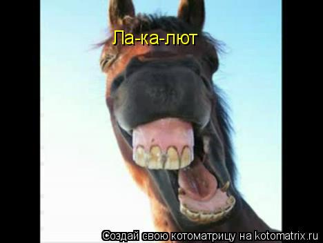 Ла-ка-лют... Котоматрица: Ла-ка-лют