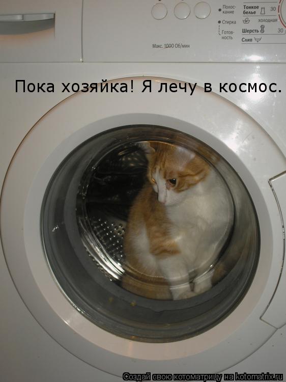 Пока хозяйка! Я лечу в космос.... Котоматрица: Пока хозяйка! Я лечу в космос.
