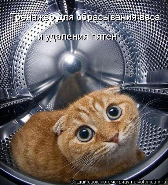Котоматрица: Тренажёр для сбрасывания веса и удаления пятен
