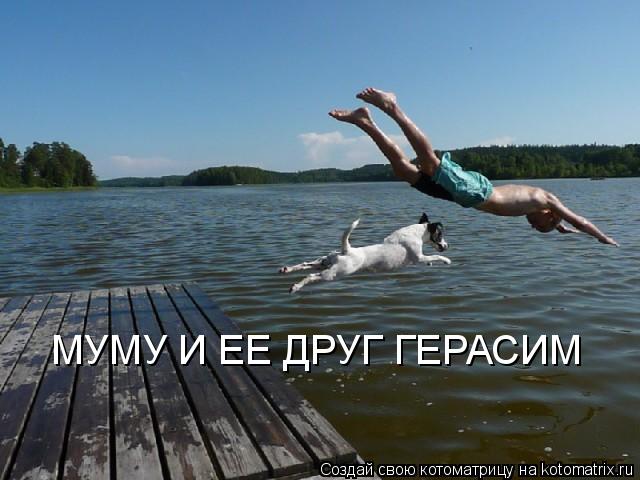 Котоматрица: МУМУ И ЕЕ ДРУГ ГЕРАСИМ