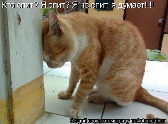 Котоматрица: Кто спит? Я спит? Я не спит, я думает!!!!