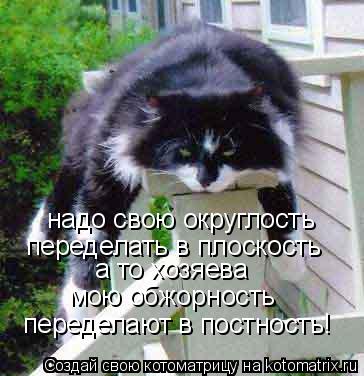 Котоматрица: надо свою округлость переделать в плоскость а то хозяева мою обжорность переделают в постность!