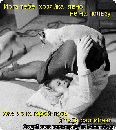 Котоматрица: Йога тебе, хозяйка, явно не на пользу. Уже из которой позы  я тебя разгибаю.