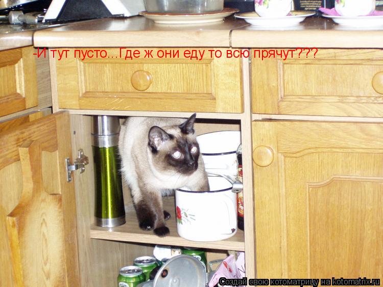 Котоматрица: -И тут пусто... -И тут пусто...Где ж они еду то всю прячут??? -И тут пусто...Где ж они еду то всю прячут???