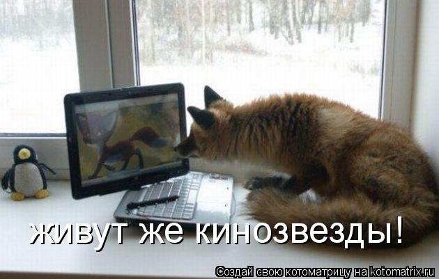 Котоматрица: живут же кинозвезды!