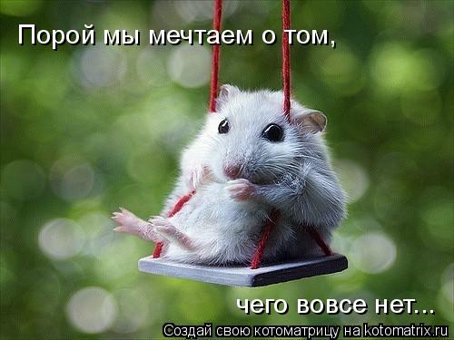Порой мы мечтаем о том, чего вовсе нет...... Котоматрица: Порой мы мечтаем о том, чего вовсе нет...