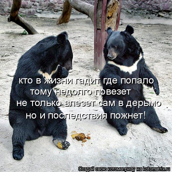 кто в жизни гадит где попало тому недолго повезет не только влезет сам в дерьмо но и последствия пожн... Котоматрица: кто в жизни гадит где попало тому недолго повезет не только влезет сам в дерьмо но и последствия пожнет!