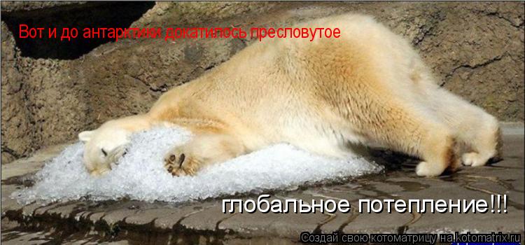 Вот и до антарктики докатилось пресловутое глобальное потепление!!!... Котоматрица: Вот и до антарктики докатилось пресловутое глобальное потепление!!!