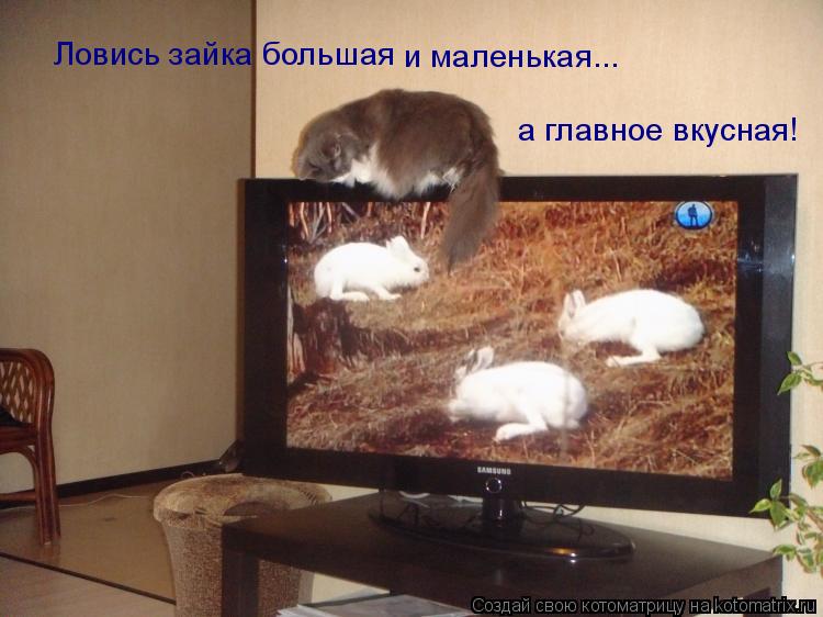 Ловись зайка большая и маленькая... а главное вкусная!... Котоматрица: Ловись зайка большая и маленькая... а главное вкусная!