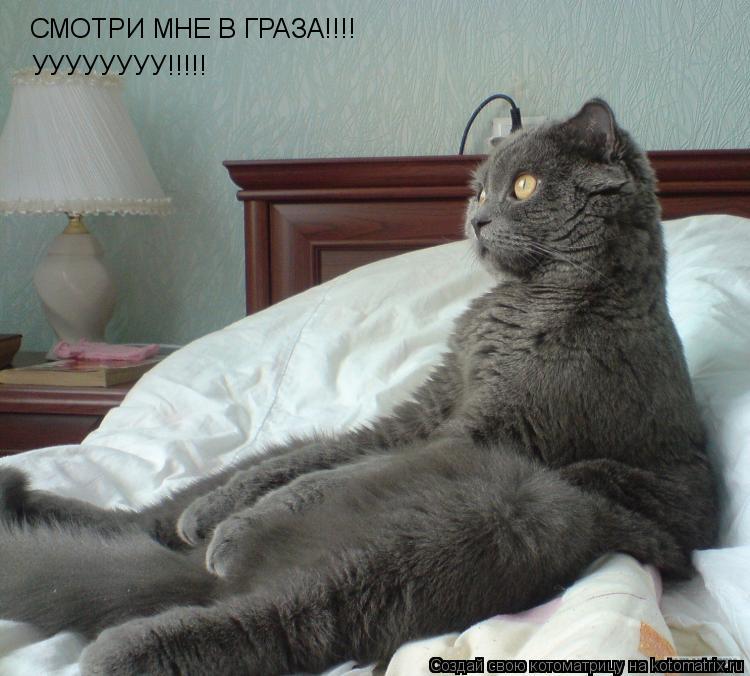 СМОТРИ МНЕ В ГРАЗА!!!! УУУУУУУУ!!!!!... Котоматрица: СМОТРИ МНЕ В ГРАЗА!!!! УУУУУУУУ!!!!!