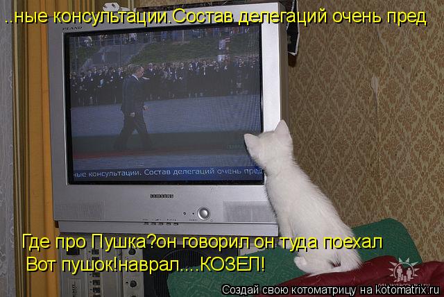 Котоматрица: ..ные консультации.Состав делегаций очень пред Где про Пушка?он говорил он туда поехал Вот пушок!наврал....КОЗЕЛ!