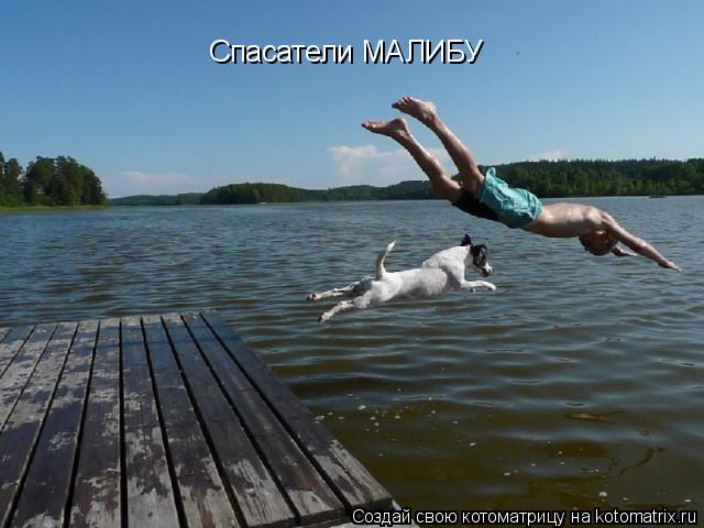 Котоматрица: Спасатели МАЛИБУ