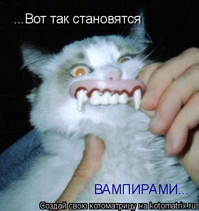 Котоматрица: ...Вот так становятся ВАМПИРАМИ...
