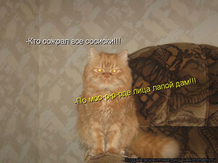 Котоматрица: -Кто сожрал все сосиски!!! -По мор-р-р-рде лица лапой дам!!!