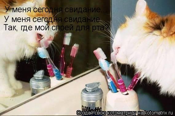 Котоматрица: У меня сегодня свидание... У меня сегодня свидание... Так, где мой спрей для рта?