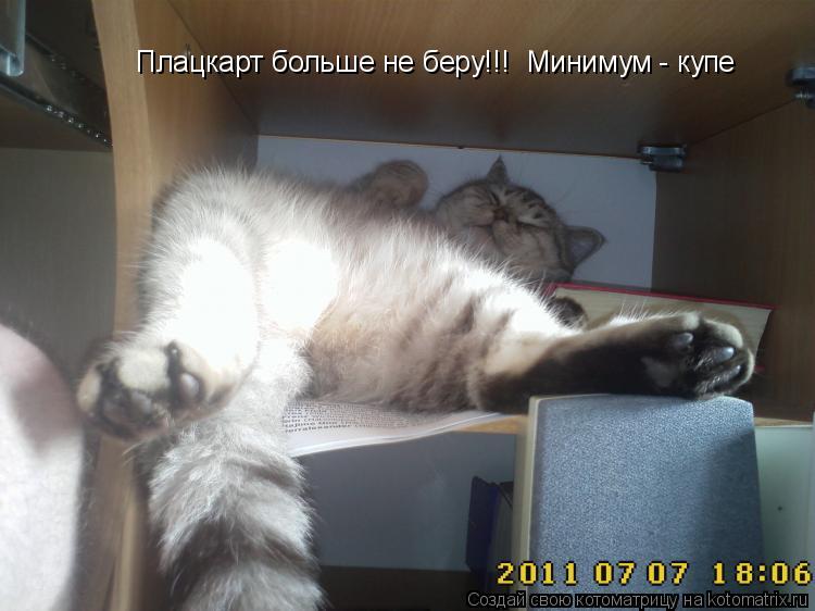 Котоматрица: Плацкарт больше не беру!!!  Минимум - купе