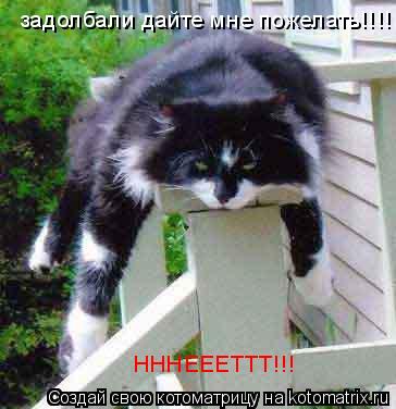 Котоматрица: задолбали дайте мне пожелать!!!! НННЕЕЕТТТ!!!
