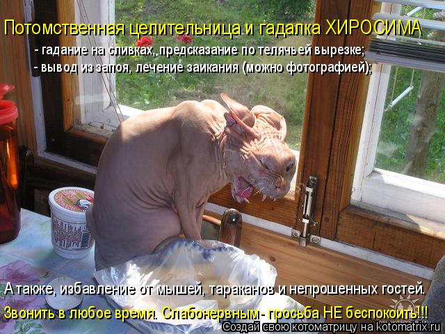 Котоматрица: Потомственная целительница и гадалка ХИРОСИМА  - гадание на сливках, предсказание по телячьей вырезке; - вывод из запоя, лечение заикания (м