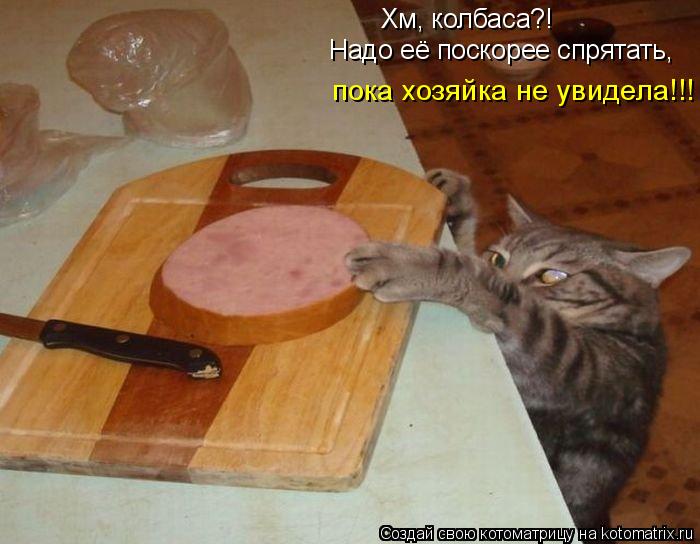 Хм, колбаса?! Надо её поскорее спрятать, пока хозяйка не увидела!!!... Котоматрица: Хм, колбаса?! Надо её поскорее спрятать, пока хозяйка не увидела!!!