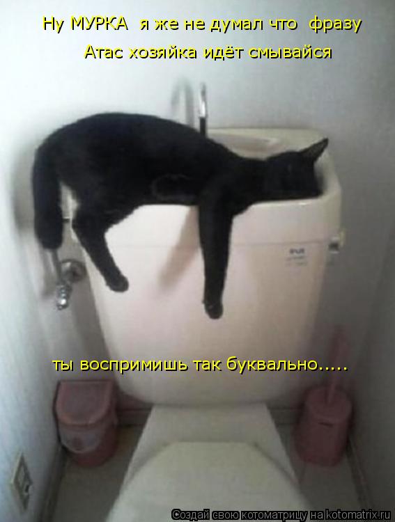Ну МУРКА я же не думал что фразу Атас хозяйка идёт смывайся ты воспримишь так буквально........ Котоматрица: Ну МУРКА я же не думал что фразу Атас хозяйка идёт смывайся ты воспримишь так буквально.....