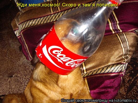 Жди меня,космос! Скоро и там я пописаю!... Котоматрица: Жди меня,космос! Скоро и там я пописаю!