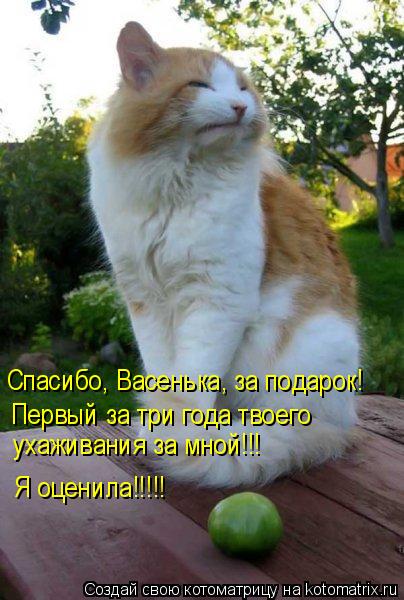 Котоматрица: Спасибо, Васенька, за подарок! Первый за три года твоего  ухаживания за мной!!! Я оценила!!!!!