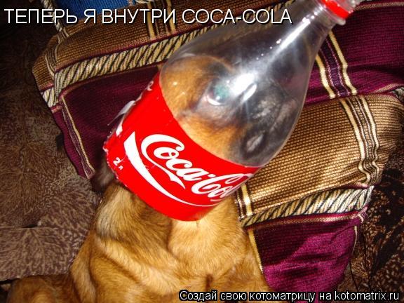 ТЕПЕРЬ Я ВНУТРИ COCA-COLA... Котоматрица: ТЕПЕРЬ Я ВНУТРИ COCA-COLA