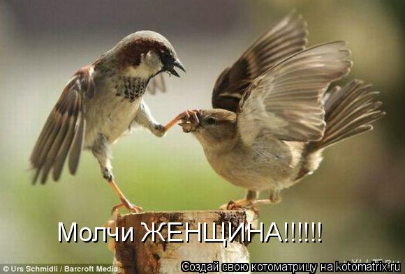 Молчи ЖЕНЩИНА!!!!!!... Котоматрица: Молчи ЖЕНЩИНА!!!!!!