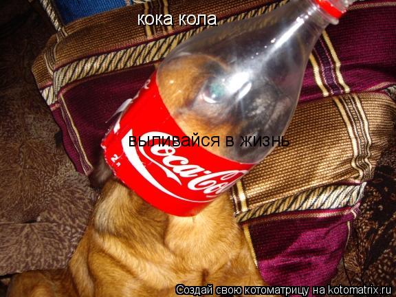 кока кола выливайся в жизнь... Котоматрица: кока кола выливайся в жизнь