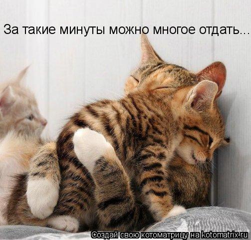 За такие минуты можно многое отдать...... Котоматрица: За такие минуты можно многое отдать...