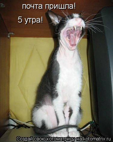 почта пришла! 5 утра!... Котоматрица: почта пришла! 5 утра!