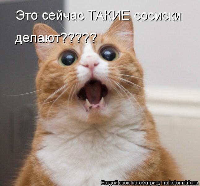 Это сейчас ТАКИЕ сосиски делают?????... Котоматрица: Это сейчас ТАКИЕ сосиски делают?????