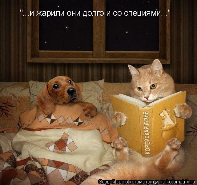 "...и жарили они долго и со специями..."... Котоматрица: "...и жарили они долго и со специями..."
