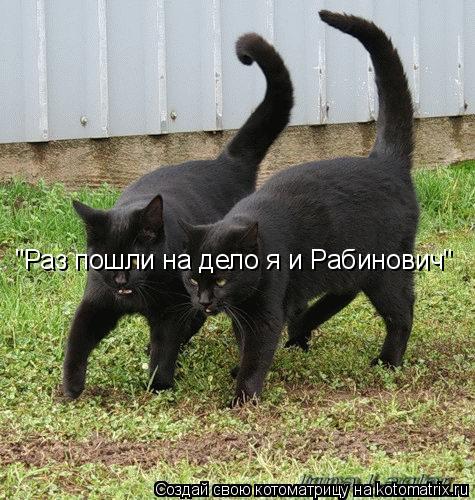 "Раз пошли на дело я и Рабинович"... Котоматрица: "Раз пошли на дело я и Рабинович"
