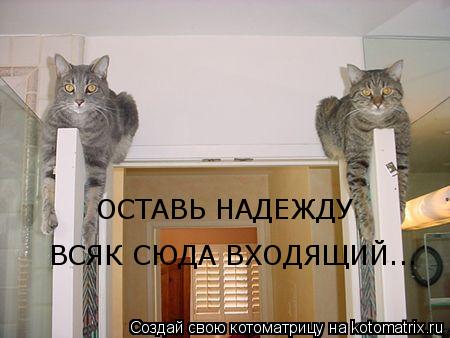 ОСТАВЬ НАДЕЖДУ ВСЯК СЮДА ВХОДЯЩИЙ...... Котоматрица: ОСТАВЬ НАДЕЖДУ ВСЯК СЮДА ВХОДЯЩИЙ...