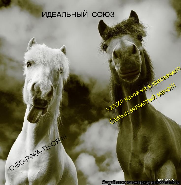 УХХХ!! Какой же я красавчик!!! ИДЕАЛЬНЫЙ СОЮЗ Самый мачистый мачо!!! О-БО-Р-ЖА-ТЬ-СЯ !!!... Котоматрица: УХХХ!! Какой же я красавчик!!! ИДЕАЛЬНЫЙ СОЮЗ Самый мачистый мачо!!! О-БО-Р-ЖА-ТЬ-СЯ !!!