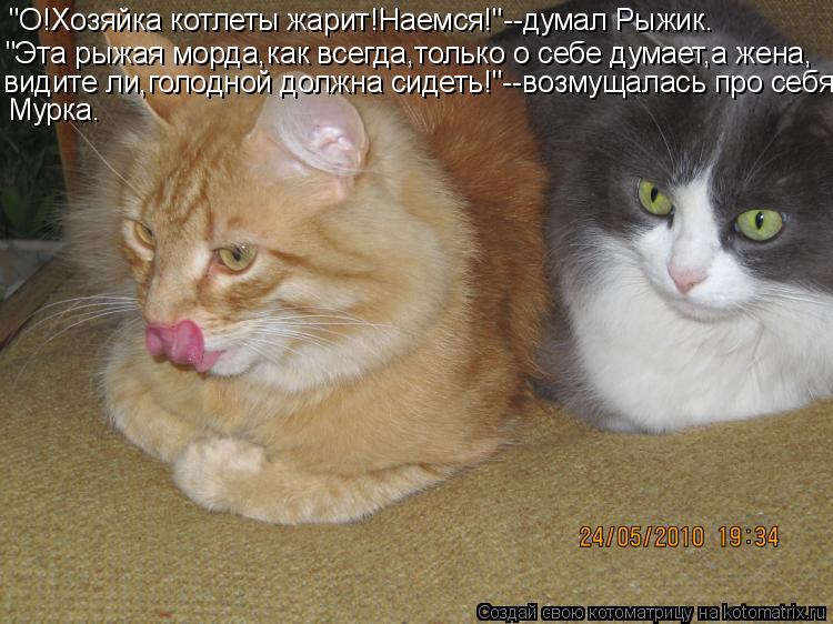 "О!Хозяйка котлеты жарит!Наемся!"--думал Рыжик. "Эта рыжая морда,как всегда,только о себе думает,а же... Котоматрица: "О!Хозяйка котлеты жарит!Наемся!"--думал Рыжик. "Эта рыжая морда,как всегда,только о себе думает,а жена, видите ли,голодной должна сидеть!"--воз