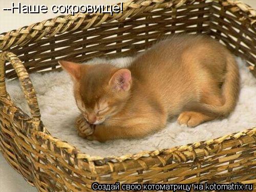 --Наше сокровище!... Котоматрица: --Наше сокровище!