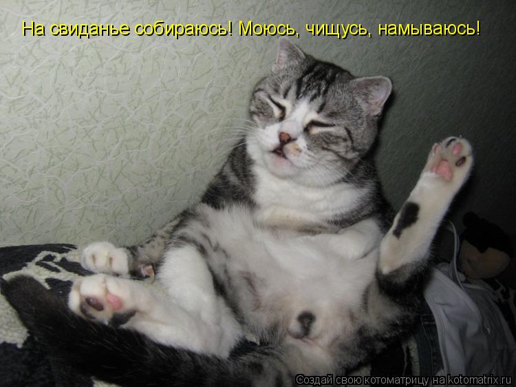 На свиданье собираюсь! Моюсь, чищусь, намываюсь!... Котоматрица: На свиданье собираюсь! Моюсь, чищусь, намываюсь!