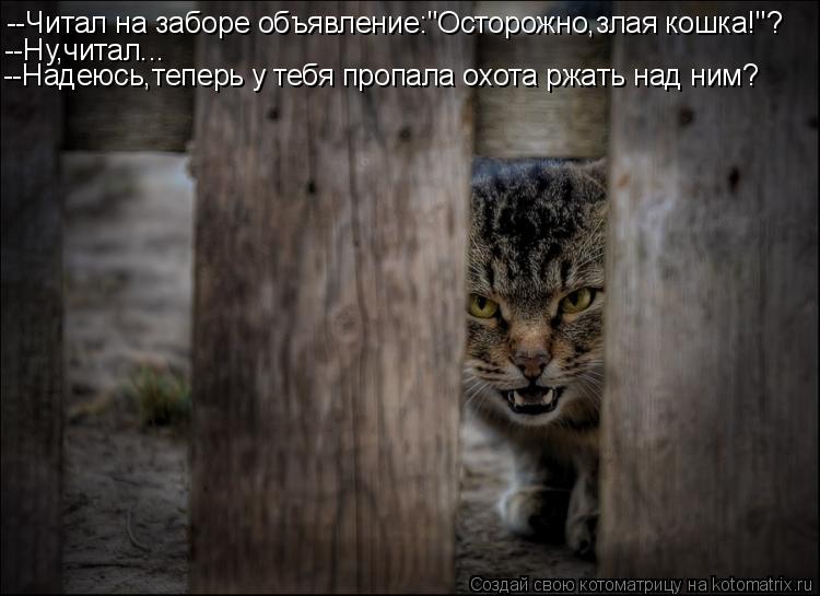 --Читал на заборе объявление:"Осторожно,злая кошка!"? --Ну,читал... --Надеюсь,теперь у тебя пропала о... Котоматрица: --Читал на заборе объявление:"Осторожно,злая кошка!"? --Ну,читал... --Надеюсь,теперь у тебя пропала охота ржать над ним?