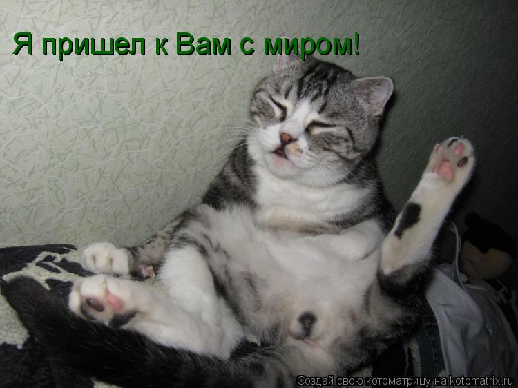 Я пришел к Вам с миром!... Котоматрица: Я пришел к Вам с миром!