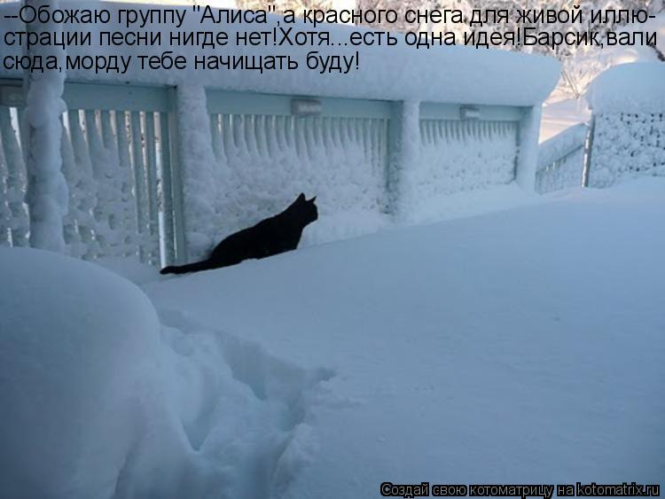 --Обожаю группу "Алиса",а красного снега для живой иллю- страции песни нигде нет!Хотя...есть одна иде... Котоматрица: --Обожаю группу "Алиса",а красного снега для живой иллю- страции песни нигде нет!Хотя...есть одна идея!Барсик,вали сюда,морду тебе начищать бу