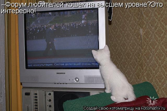 --Форум любителей кошек на высшем уровне?Это интересно!..... Котоматрица: --Форум любителей кошек на высшем уровне?Это интересно!..