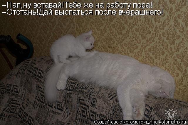 --Пап,ну вставай!Тебе же на работу пора! --Отстань!Дай выспаться после вчерашнего!... Котоматрица: --Пап,ну вставай!Тебе же на работу пора! --Отстань!Дай выспаться после вчерашнего!