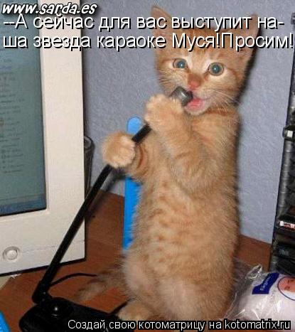 --А сейчас для вас выступит на- ша звезда караоке Муся!Просим!... Котоматрица: --А сейчас для вас выступит на- ша звезда караоке Муся!Просим!