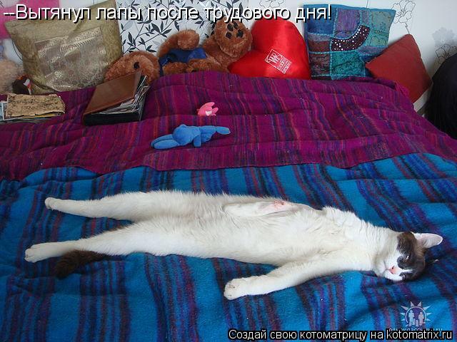 --Вытянул лапы после трудового дня!... Котоматрица: --Вытянул лапы после трудового дня!