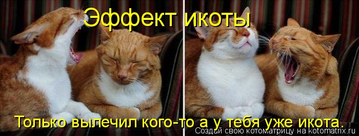 Эффект икоты Только вылечил кого-то а у тебя уже икота.... Котоматрица: Эффект икоты Только вылечил кого-то а у тебя уже икота.