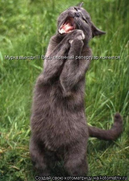 Мурка,выходи!!! Весь песенный репертуар кончился..... Котоматрица: Мурка,выходи!!! Весь песенный репертуар кончился..